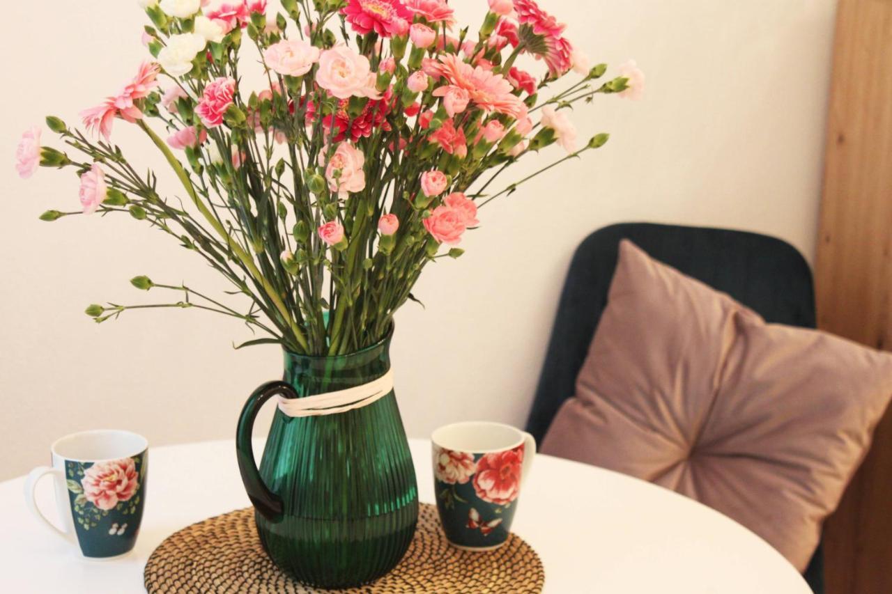 Cosy & Perfect Located Krakau